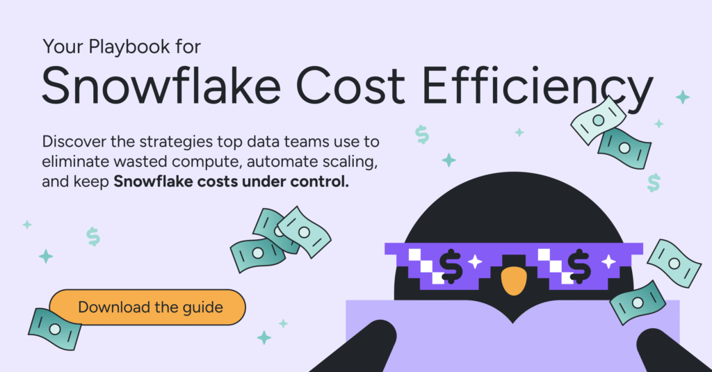snowflake-cost-management-tool-brands